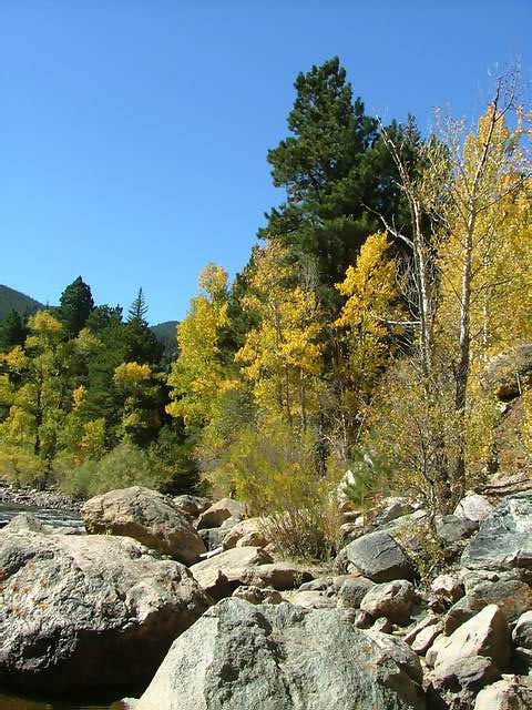 Autumn-in-Colorado-2007-092