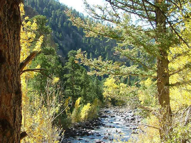 Autumn-in-Colorado-2007-093