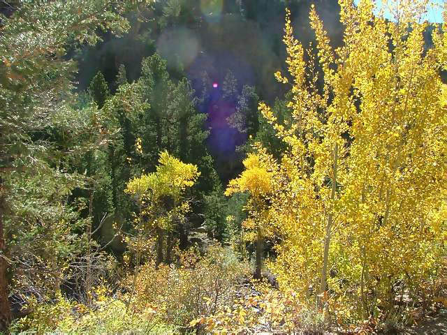 Autumn-in-Colorado-2007-095