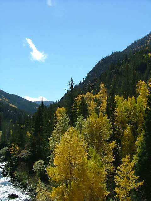 Autumn-in-Colorado-2007-115