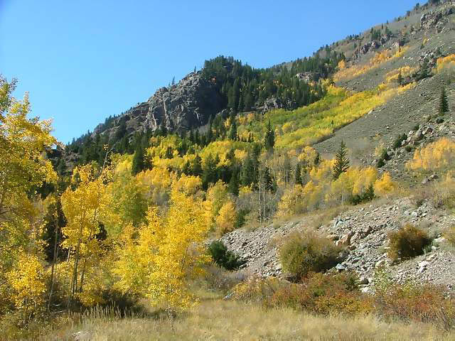 Autumn-in-Colorado-2007-119