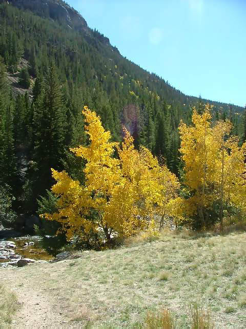 Autumn-in-Colorado-2007-125