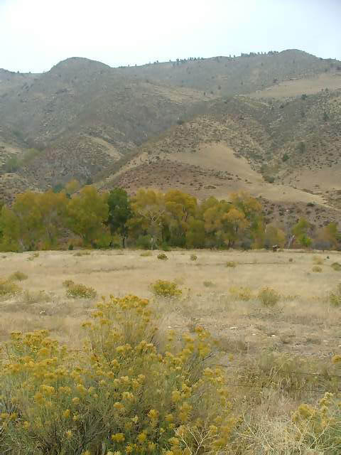 Autumn-in-Colorado-2007-148