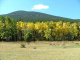 Autumn-in-Colorado-2007-001