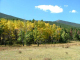 Autumn-in-Colorado-2007-008