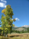 Autumn-in-Colorado-2007-009