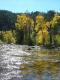 Autumn-in-Colorado-2007-078