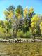 Autumn-in-Colorado-2007-080