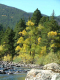 Autumn-in-Colorado-2007-091