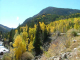 Autumn-in-Colorado-2007-112